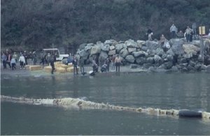 Disasters - Oil Spill