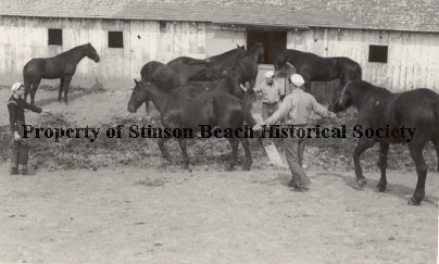 Government - Coast Guard