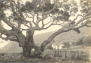 People - Individuals and Families 