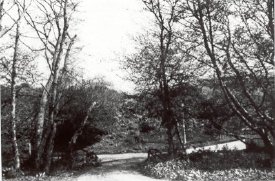 Neighborhoods/downtown