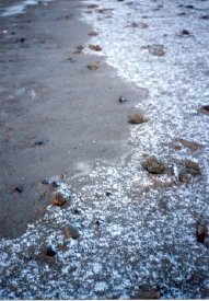 Snow on the beach